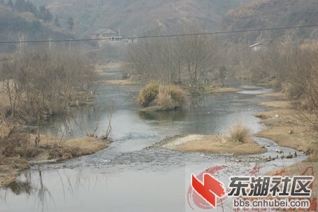 2013361026472755.jpg
