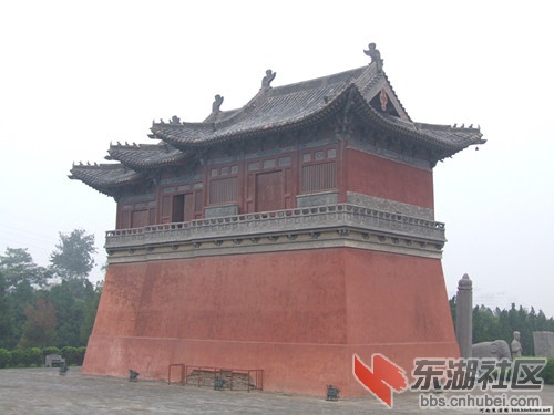 233247t6l89b8m7b8ct7u9 (1)_副本.jpg