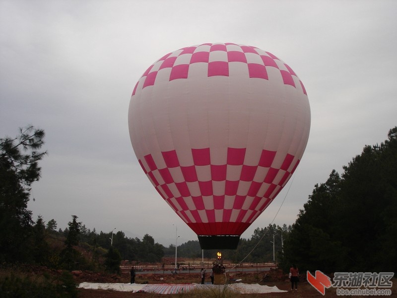 psb33.jpg