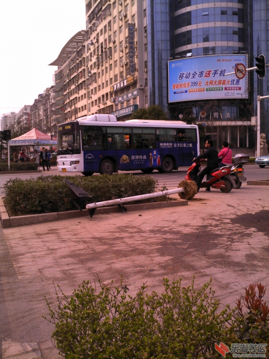 IMG_20130307_14084200(1)(1).jpg