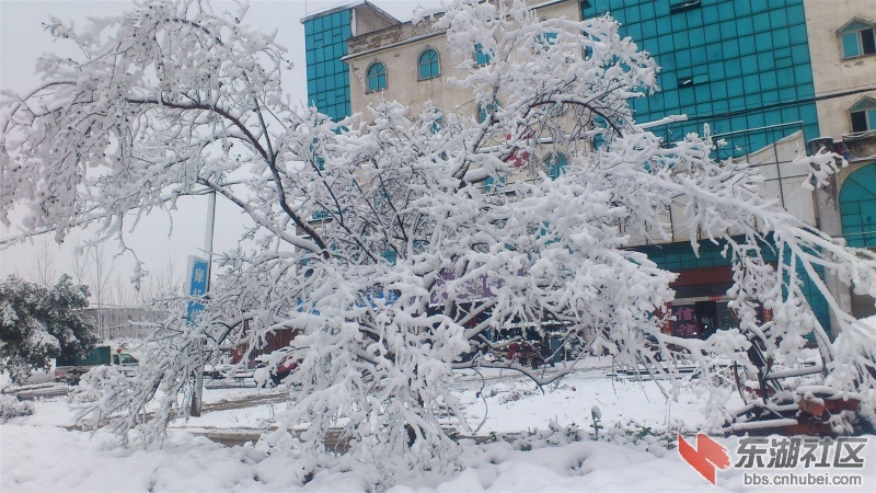 潢川的雪景