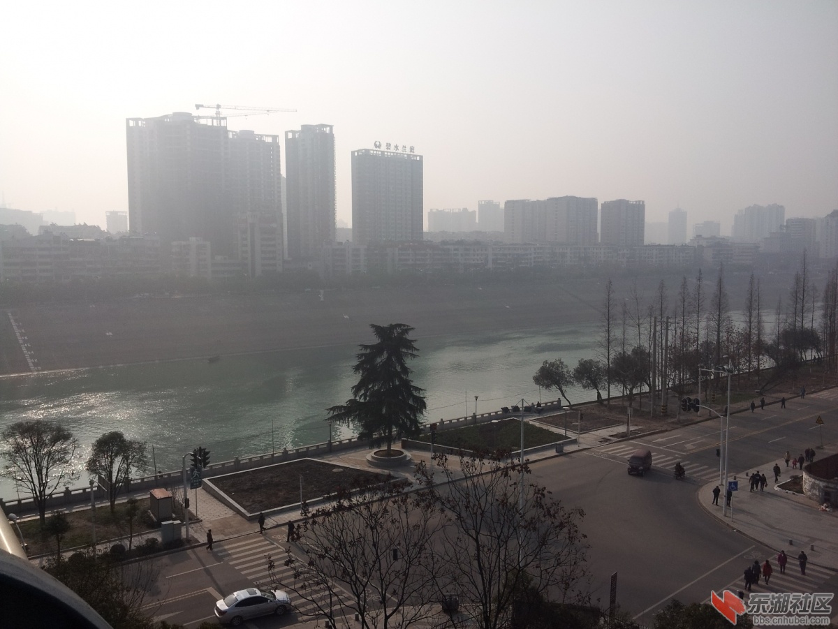 20130216_094312.jpg