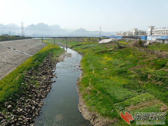 P2030152.JPG