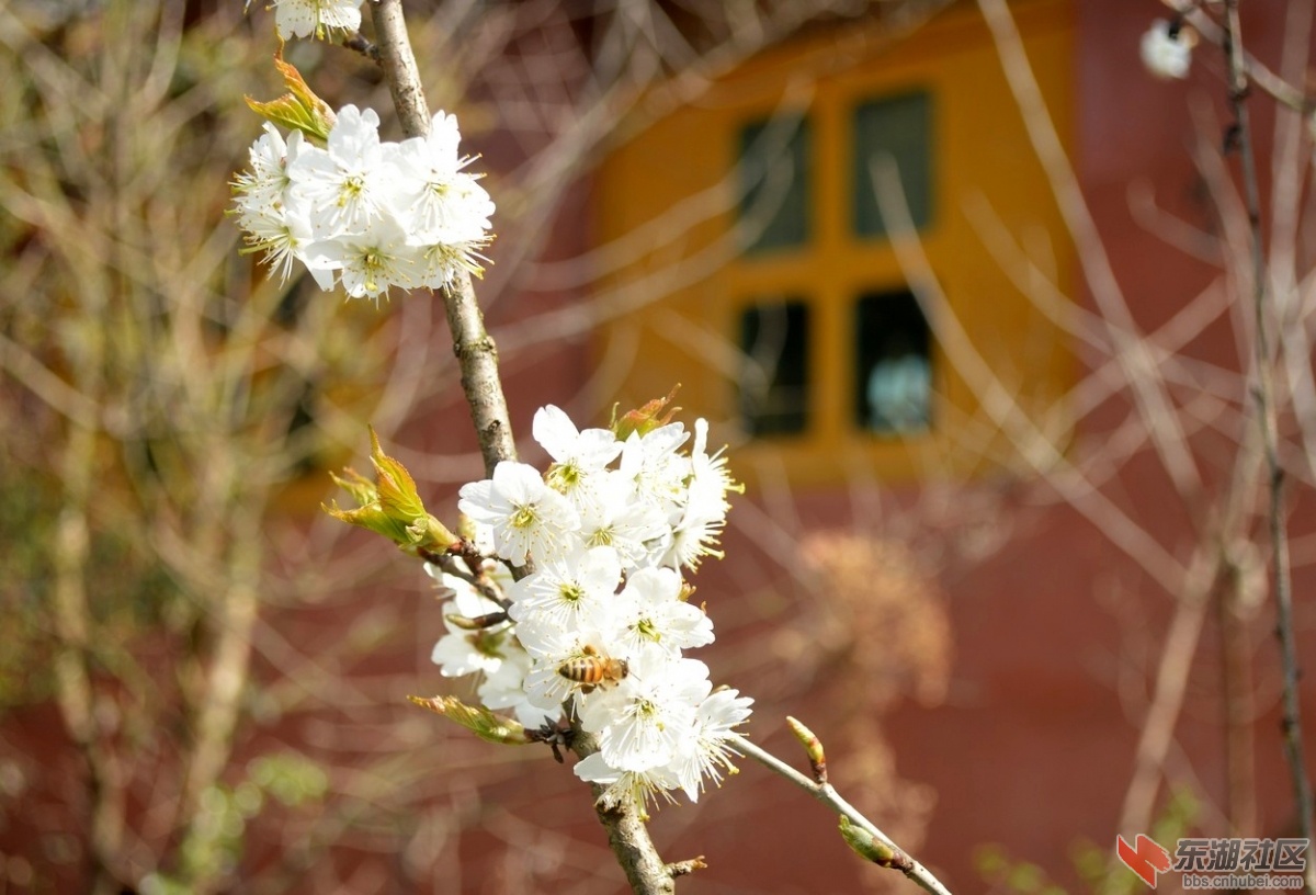 DSC_1015.jpg