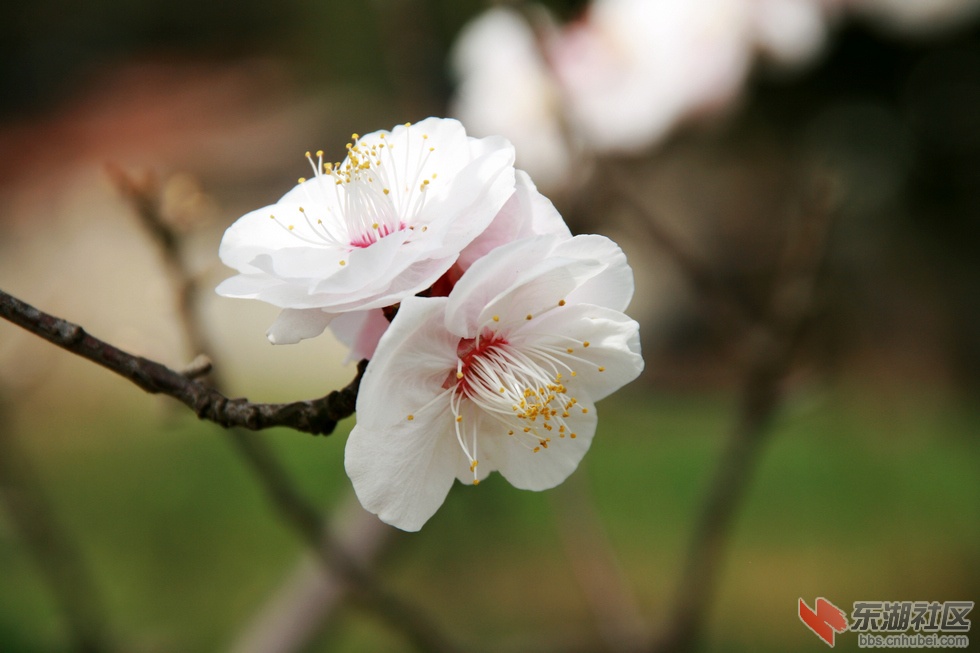 nEO_IMG_照片 099.jpg
