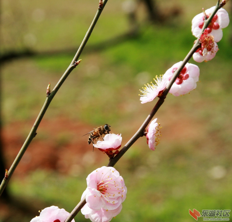 nEO_IMG_照片 085A.jpg