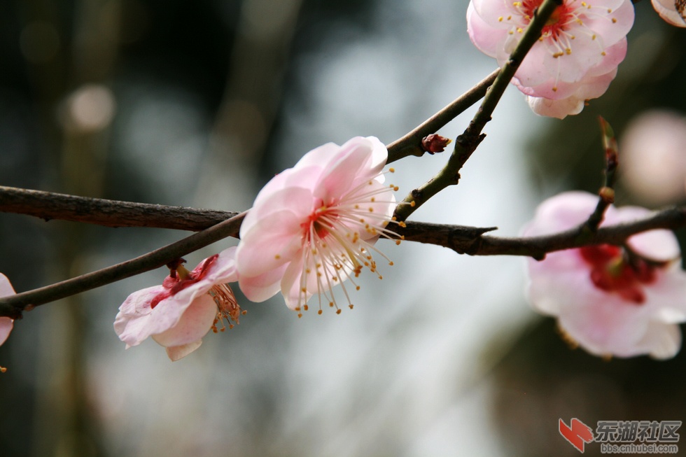 nEO_IMG_照片 090.jpg