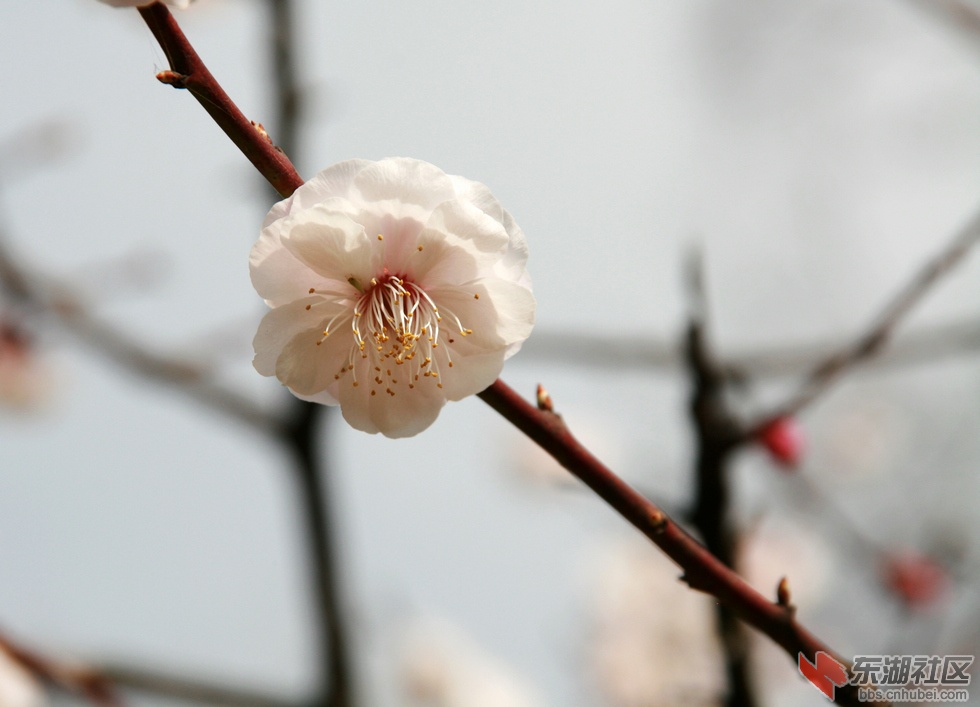 nEO_IMG_照片 093.jpg