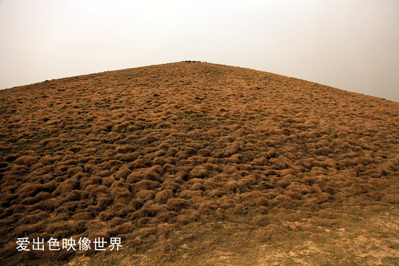 IMG_3906_副本.jpg