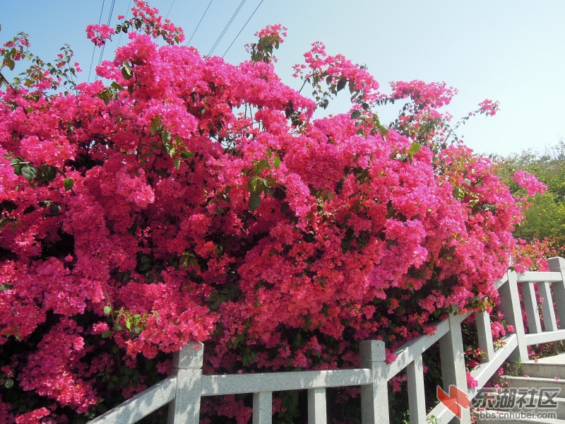 DSCN5930.jpg