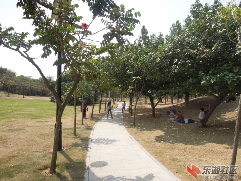 DSCN5956.jpg