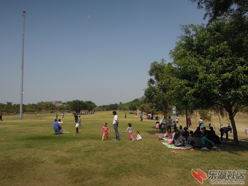 DSCN5969.jpg