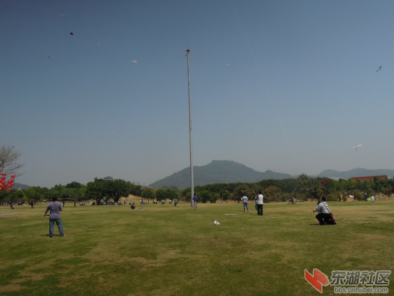 DSCN5959.jpg