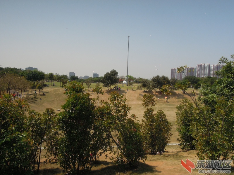 DSCN5974.jpg