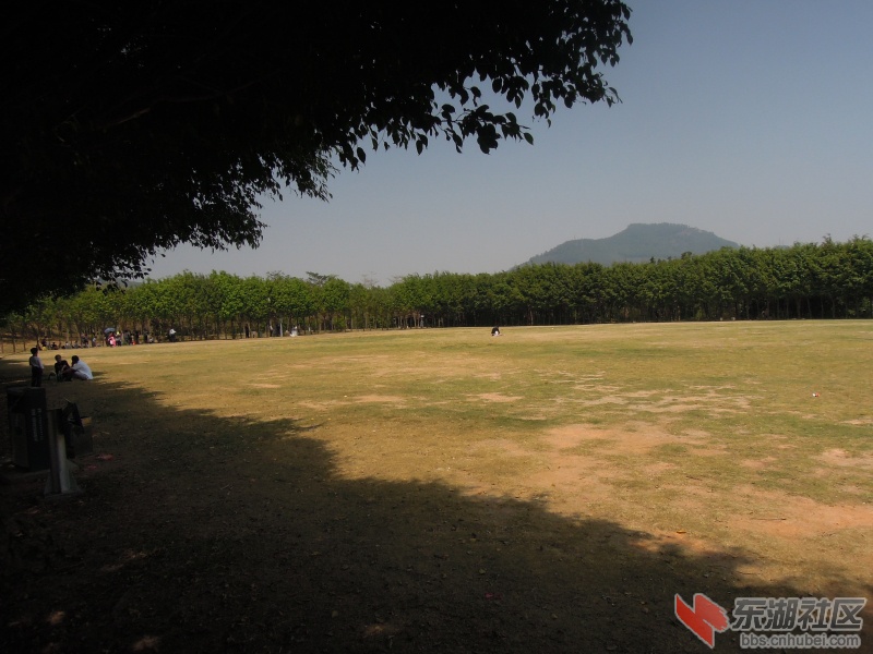 DSCN5980.jpg