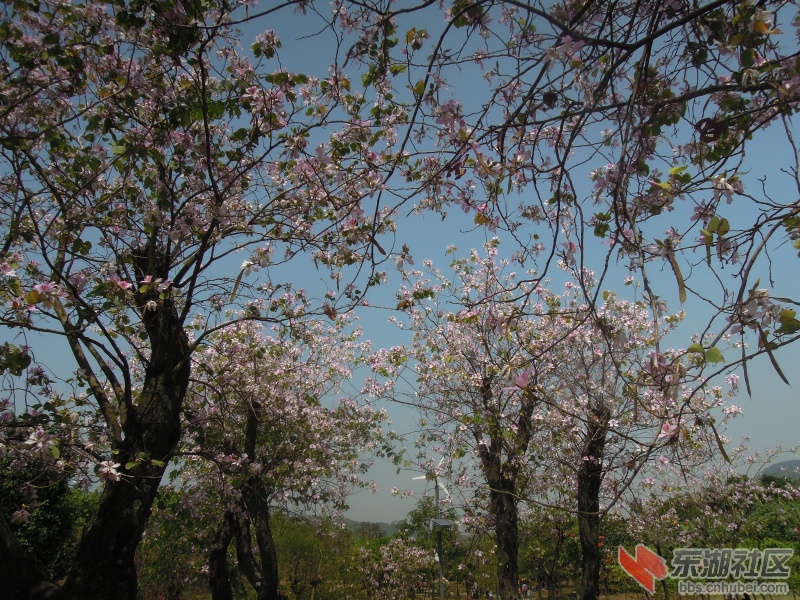 DSCN6013.jpg