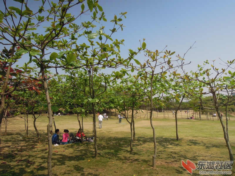 DSCN6022.jpg