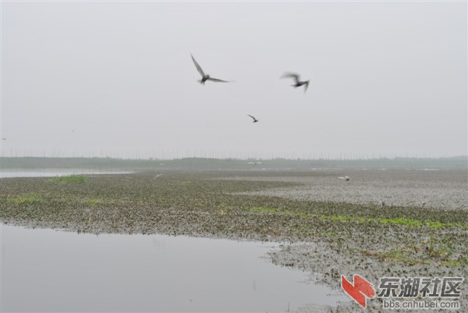 五湖外湖风光