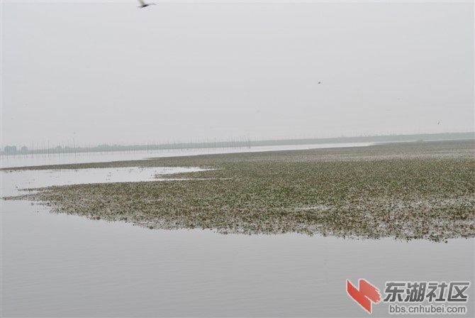 五湖外湖风光