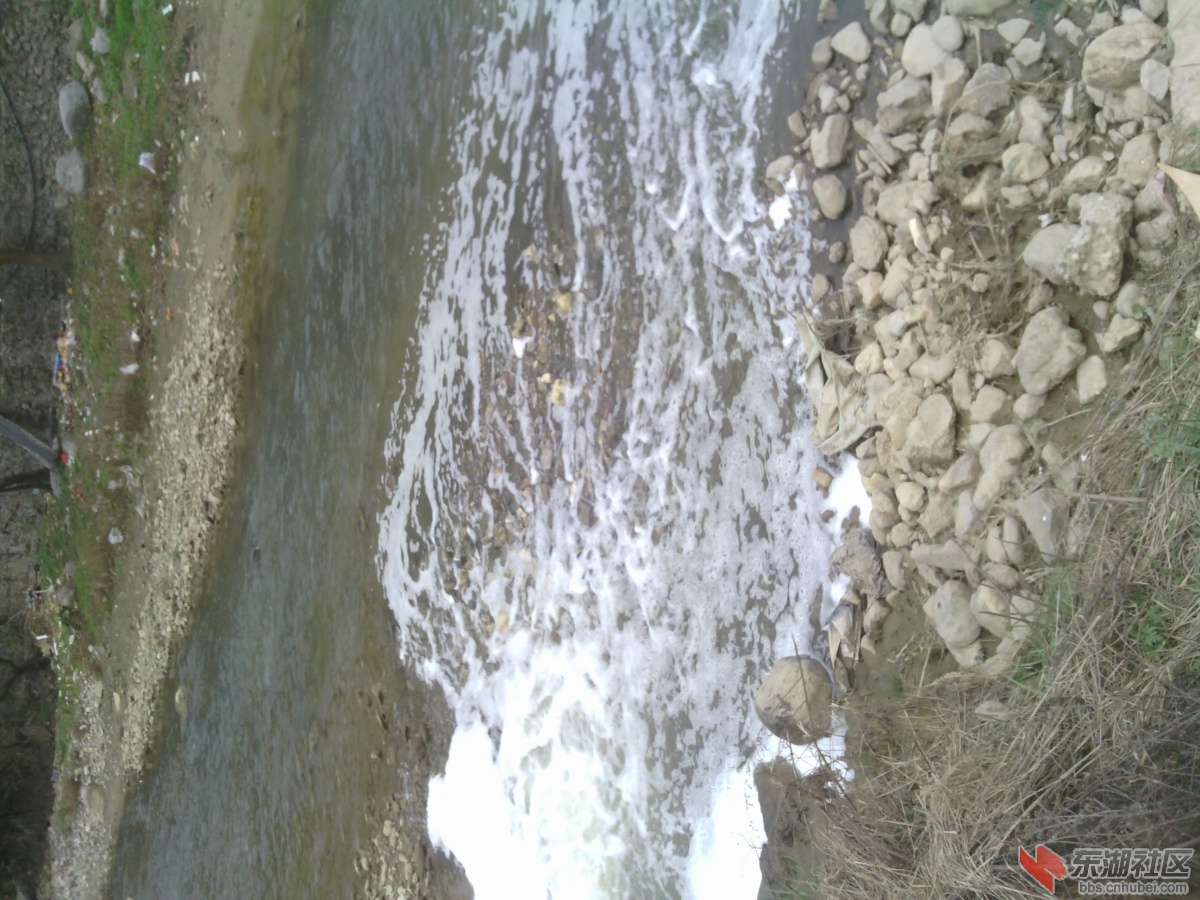 IMG_20130311_140325.jpg
