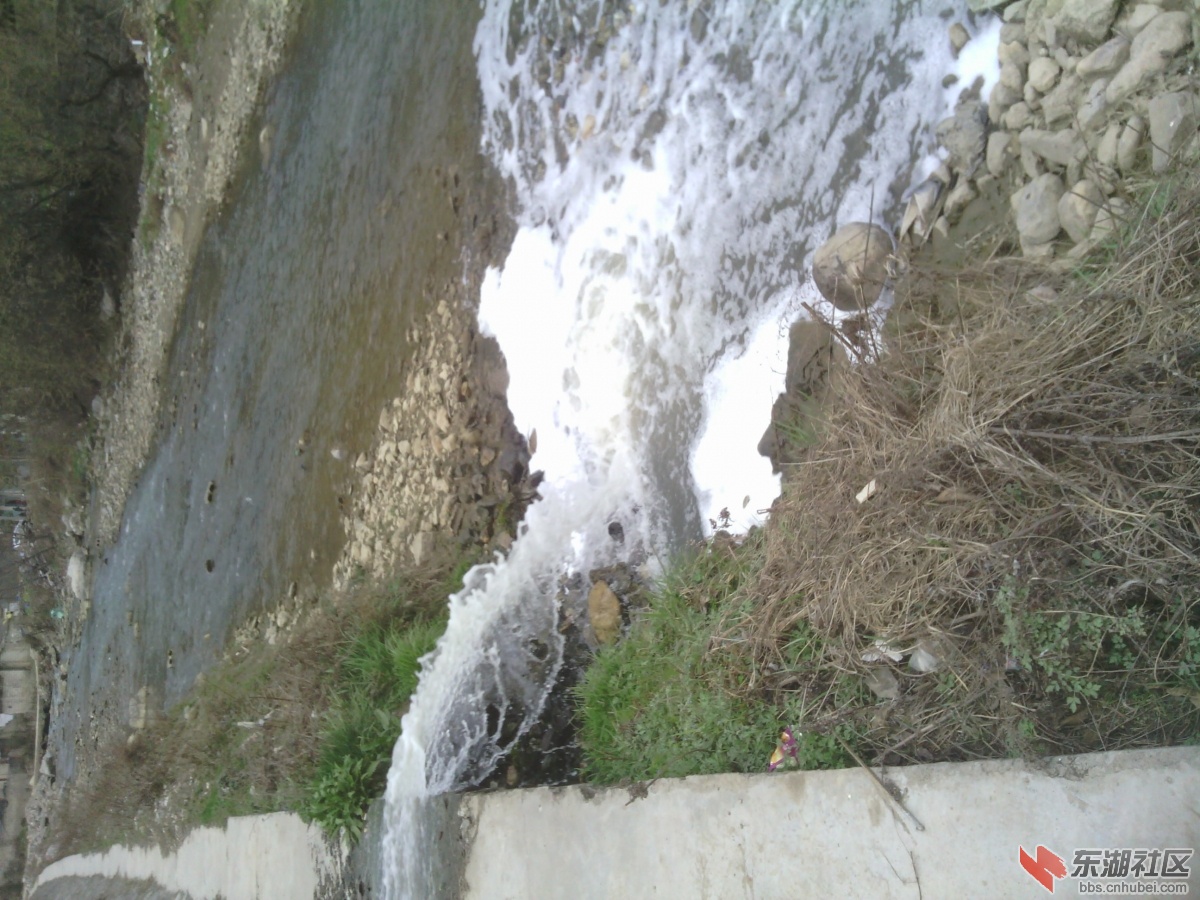 IMG_20130311_140333.jpg