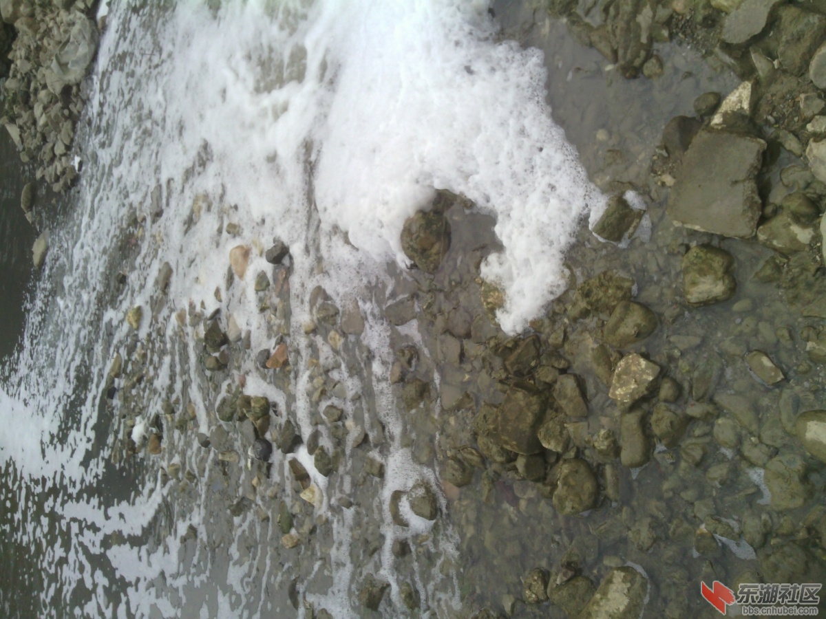 IMG_20130311_140411.jpg