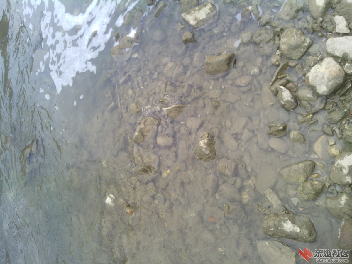 IMG_20130311_140419.jpg
