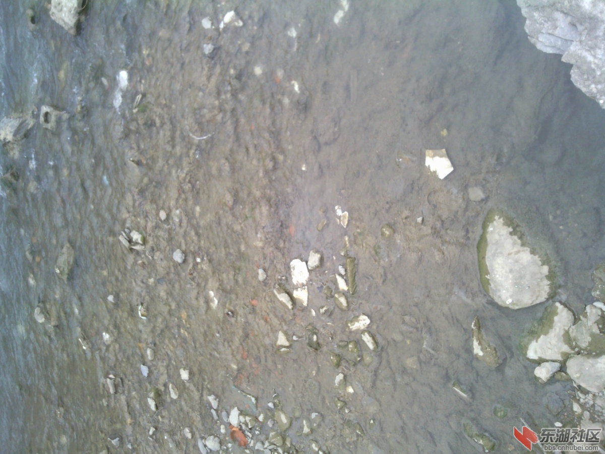 IMG_20130311_140443.jpg