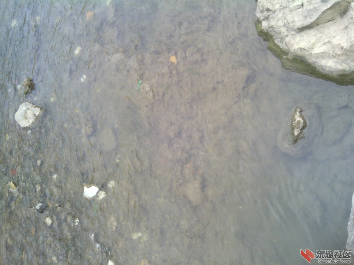 IMG_20130311_140453.jpg