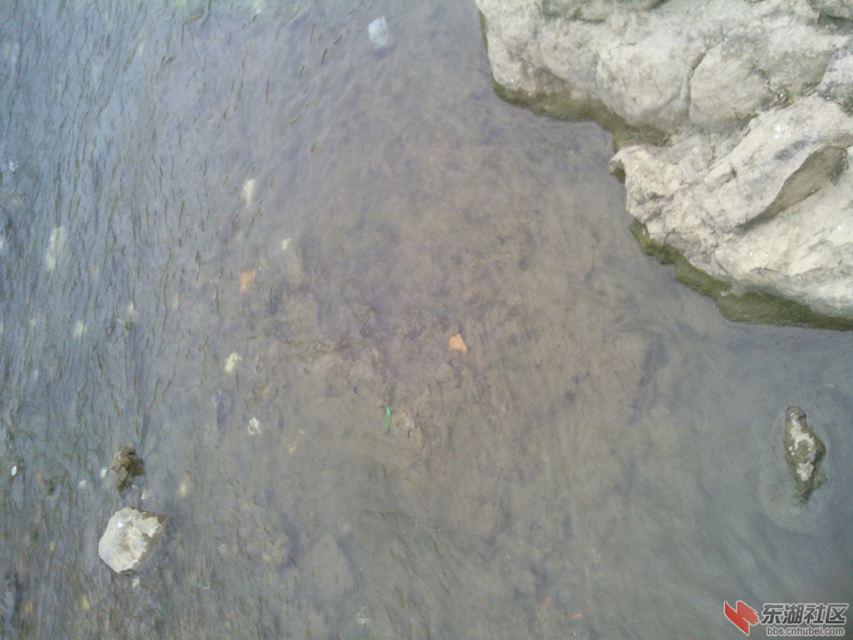 IMG_20130311_140501.jpg