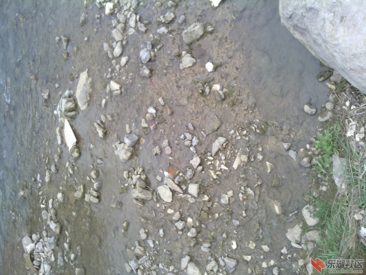 IMG_20130311_140522.jpg