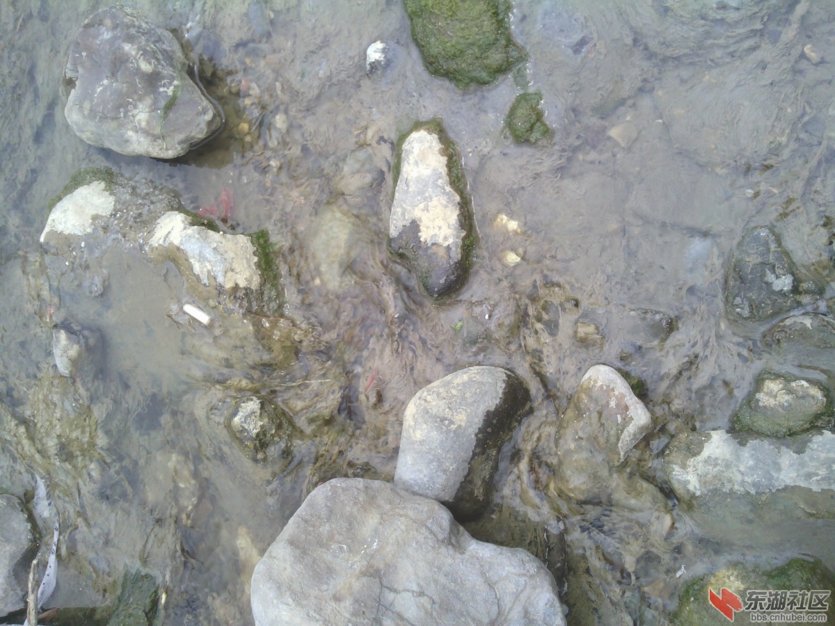 IMG_20130311_140543.jpg