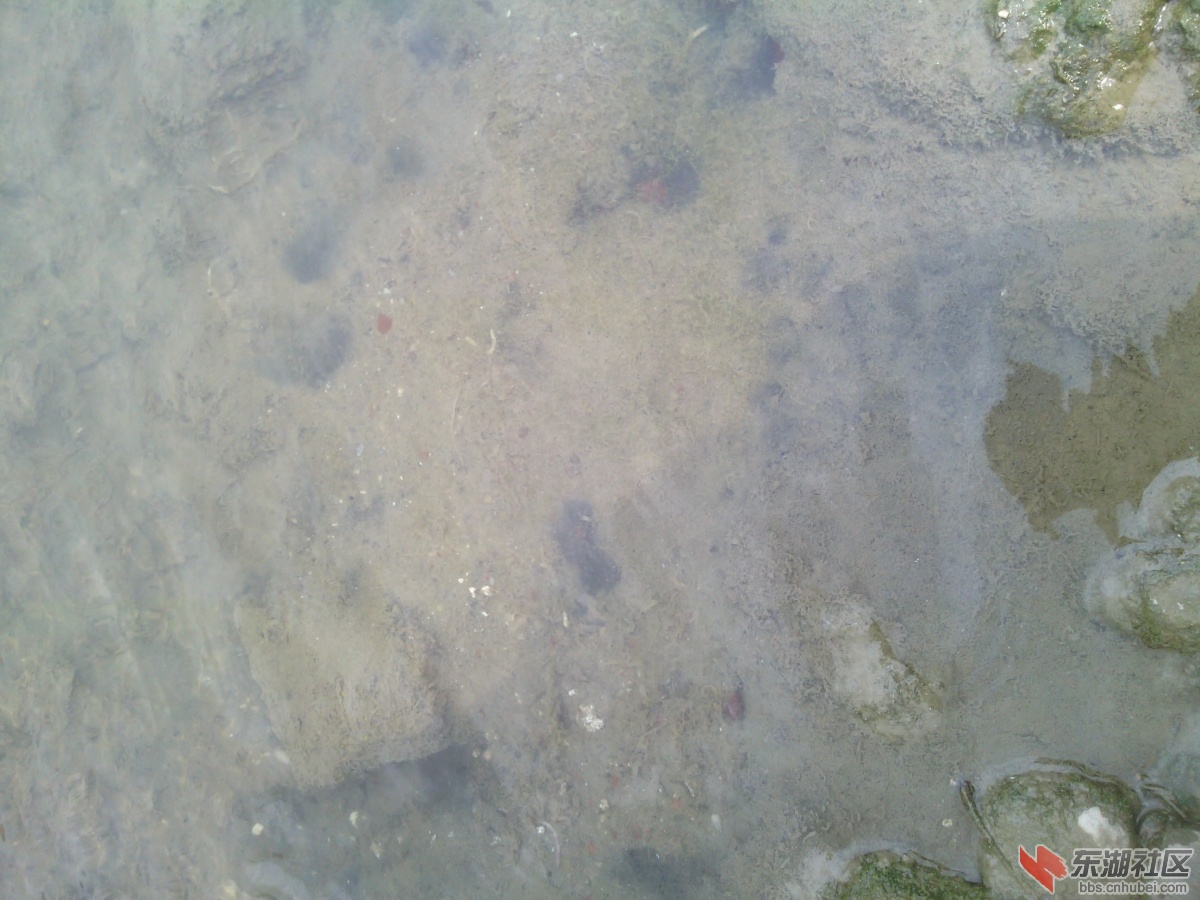 IMG_20130311_140557.jpg