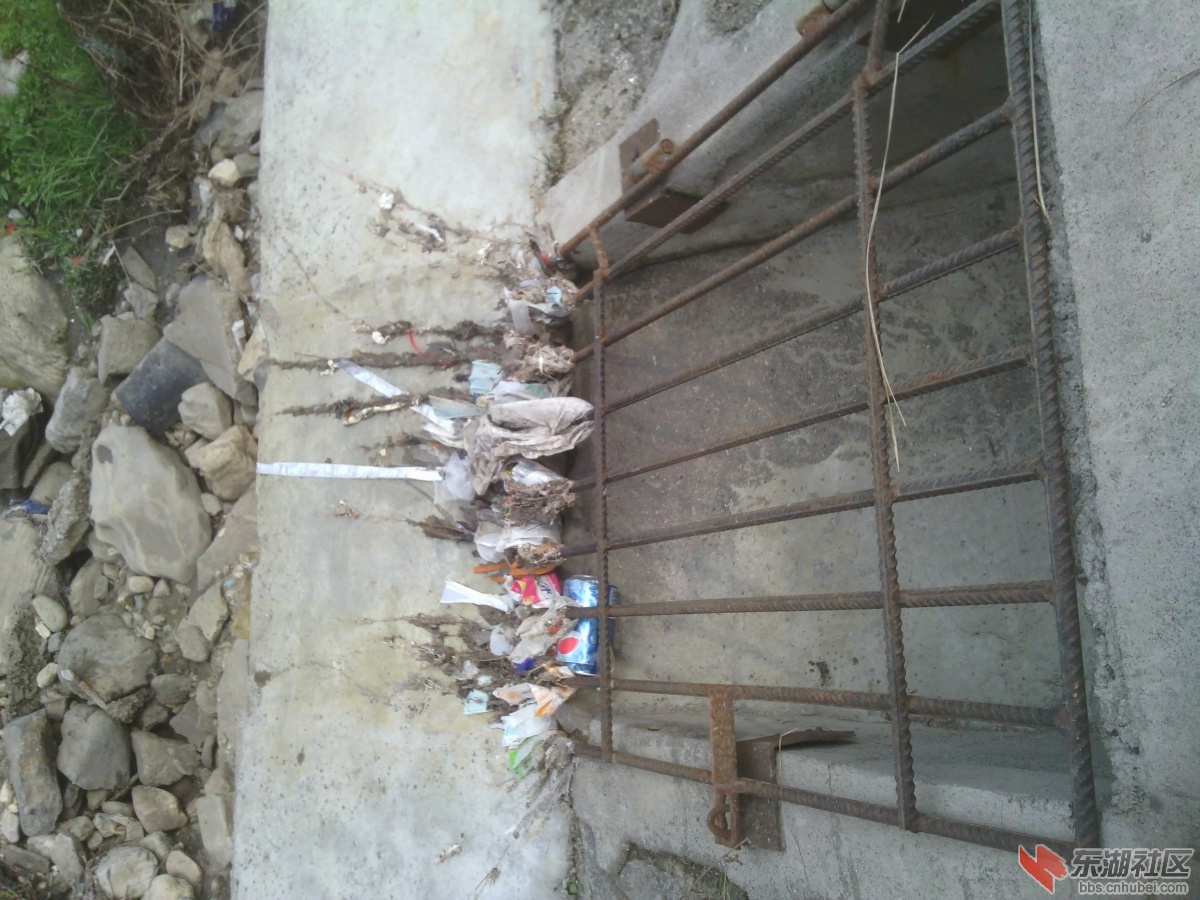 IMG_20130311_140626.jpg