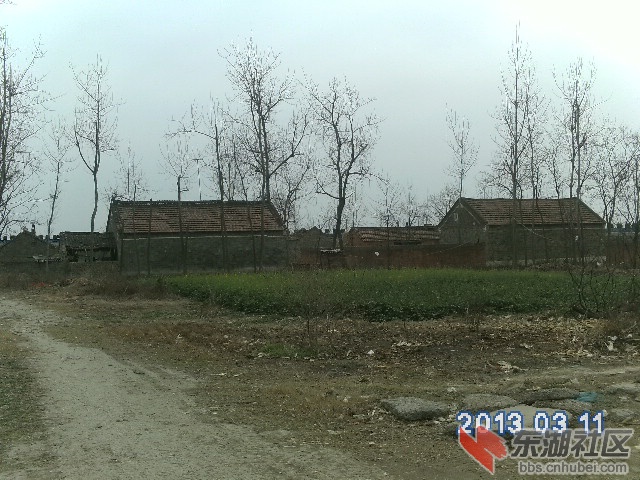 马集张岗改的易岗村一组 013.jpg