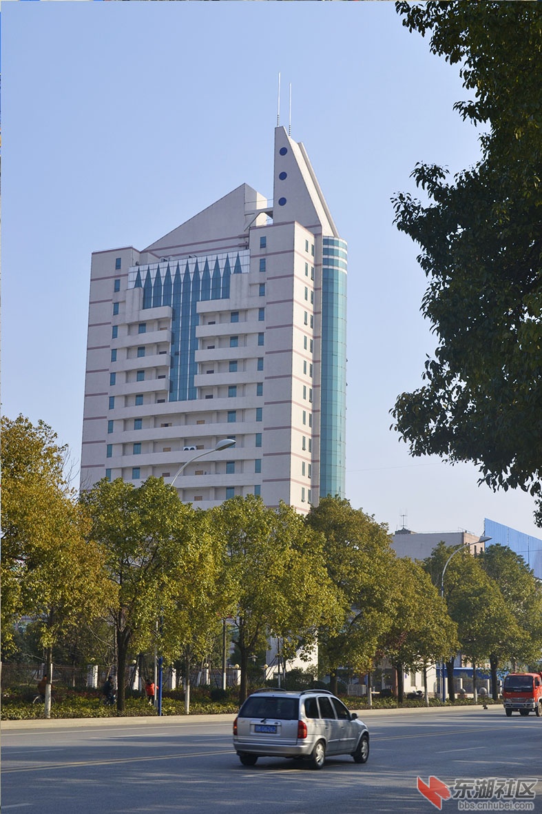 55.jpg