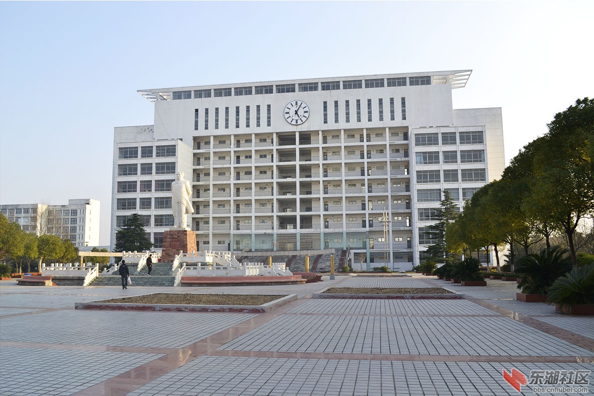 58.jpg