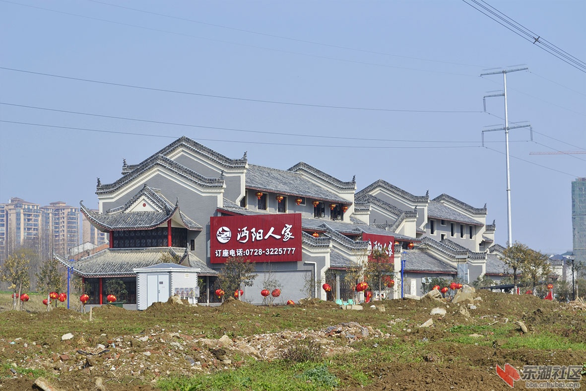 05.jpg