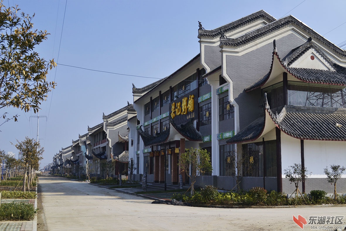 06.jpg