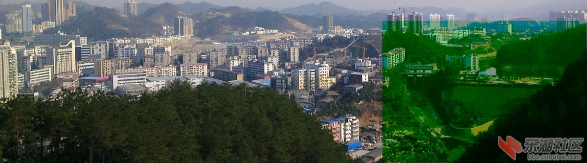 IMAG0138_BURST001-1.jpg