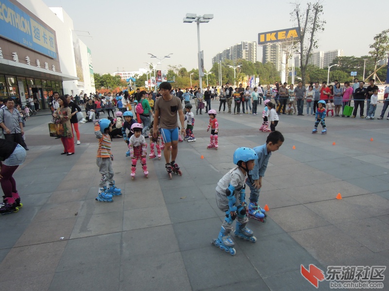 DSCN6131.jpg