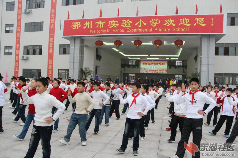 实验小学活动1.JPG