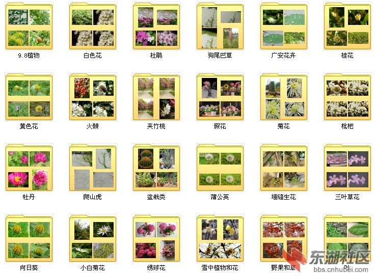 未命名7.jpg