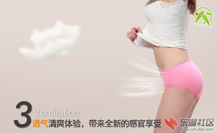 内裤图3.jpg