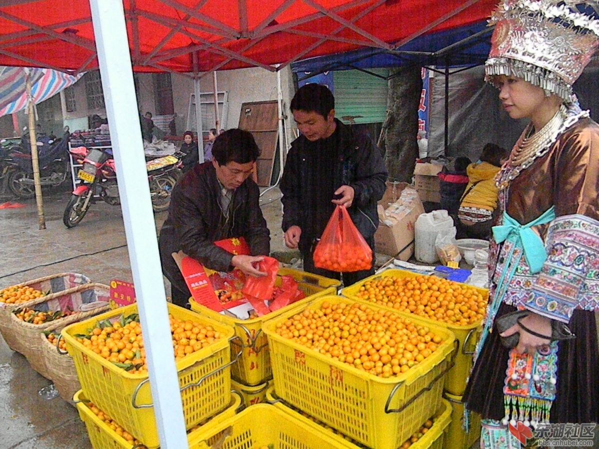 DSCN0817.JPG
