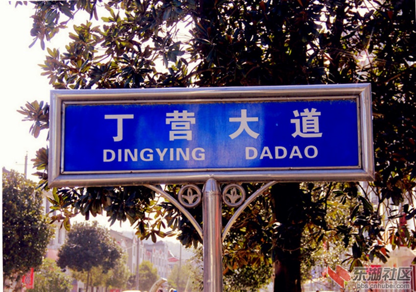 丁家营镇丁营大道图片.jpg