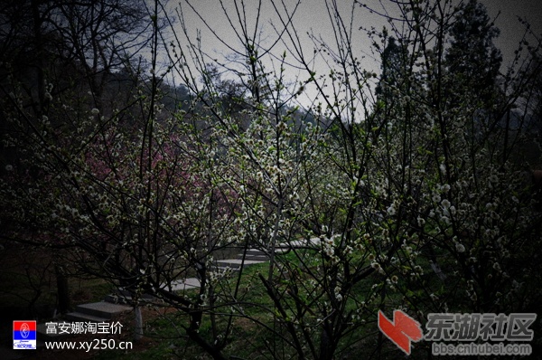 专卖富安娜 襄阳淘宝价0710-3406077