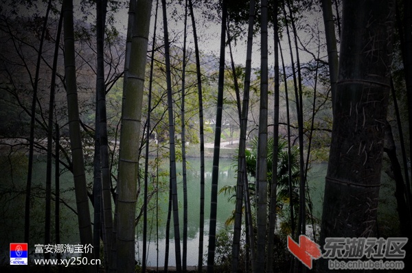 专卖富安娜 襄阳淘宝价0710-3406077