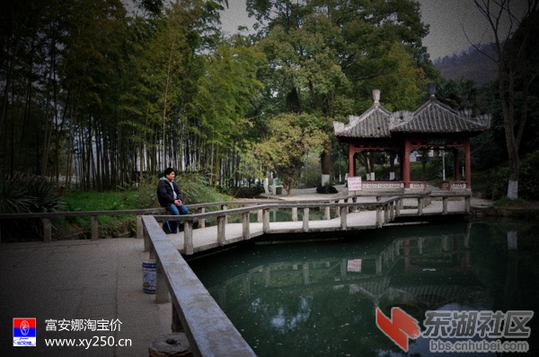 专卖富安娜 襄阳淘宝价0710-3406077