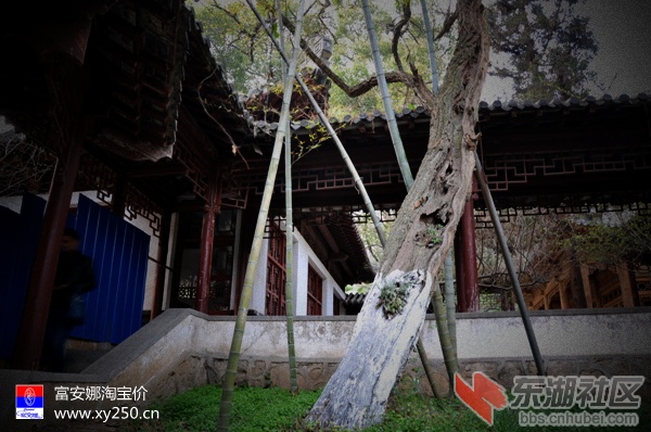 专卖富安娜 襄阳淘宝价0710-3406077